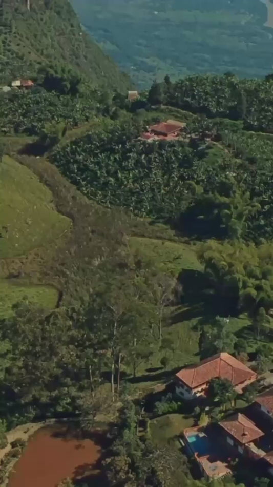 Café Hacienda Santa Laura – Honey Process